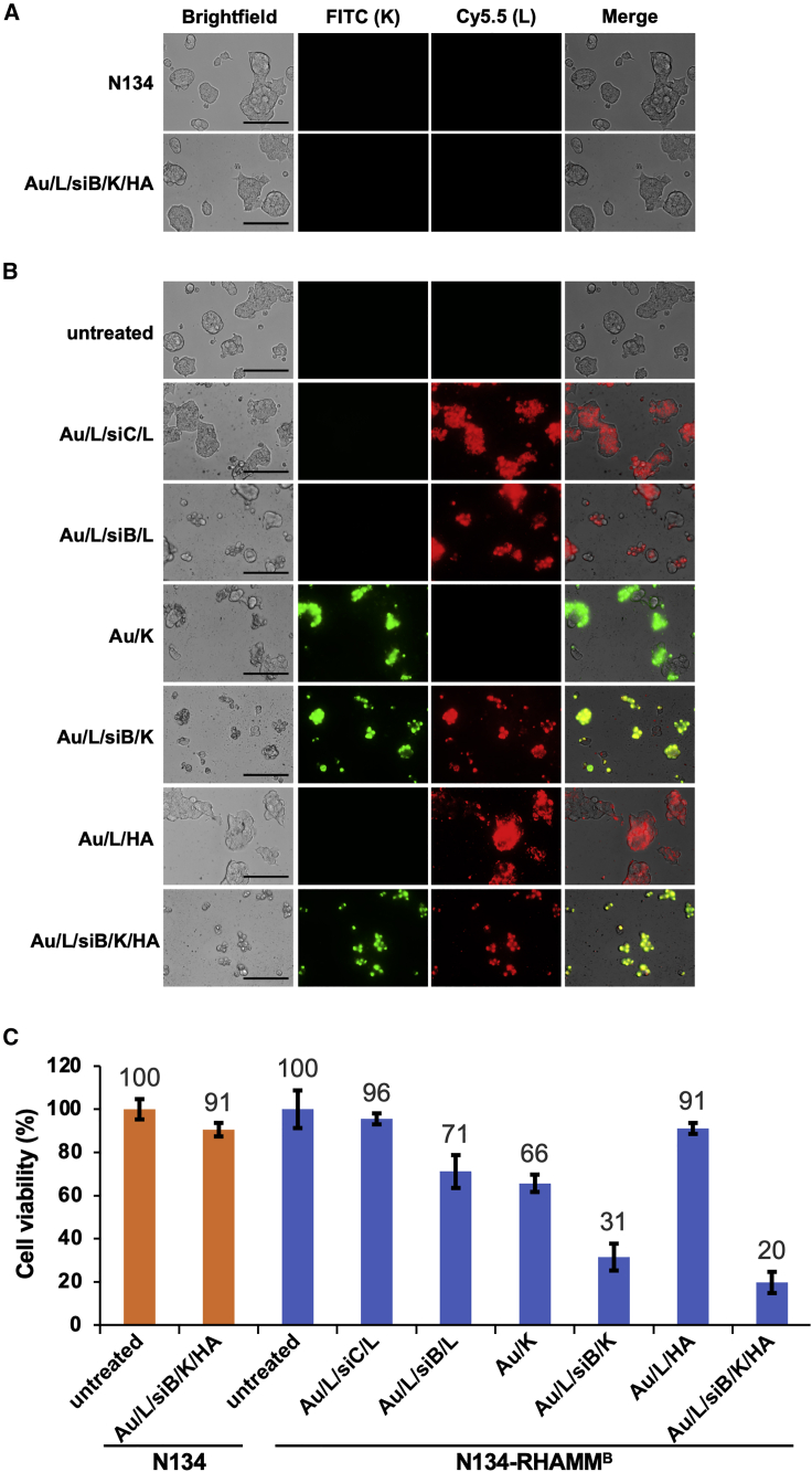 Figure 4