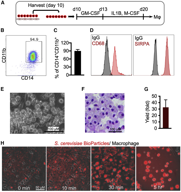 Figure 2