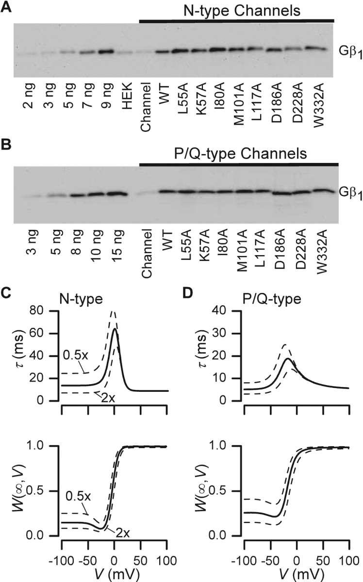 Figure 9. 