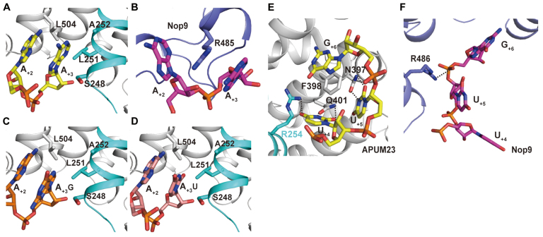 Figure 4.