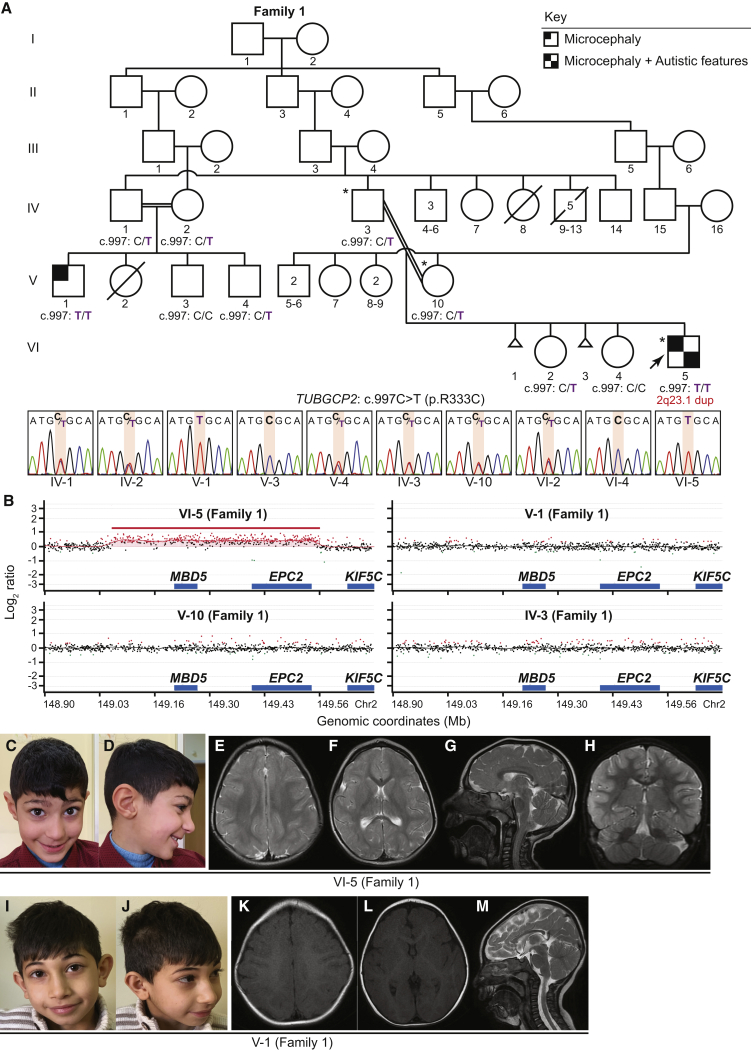 Figure 1