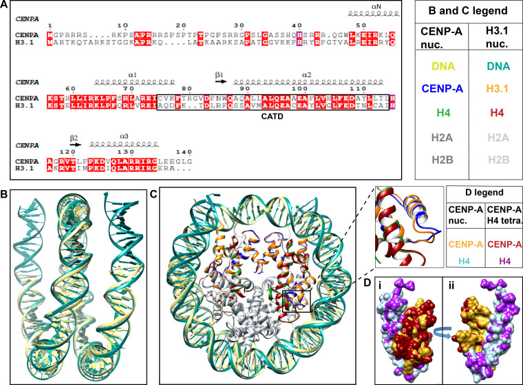 Figure 2.