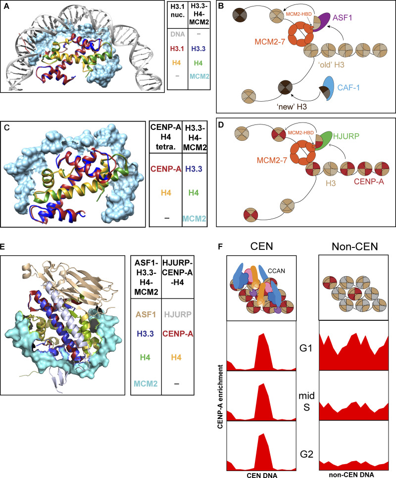 Figure 4.