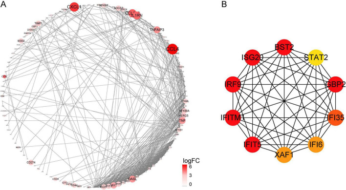 FIGURE 3