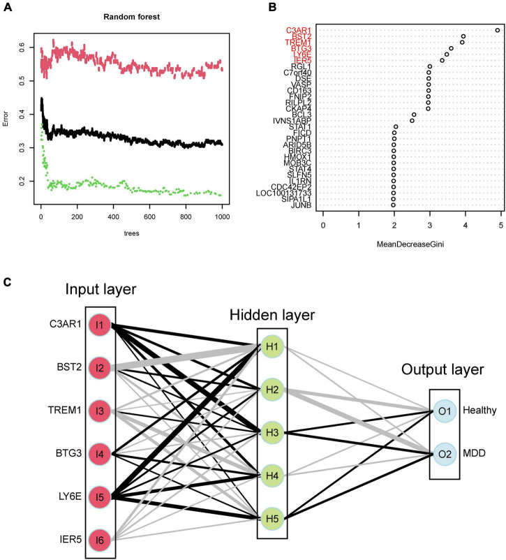 FIGURE 4