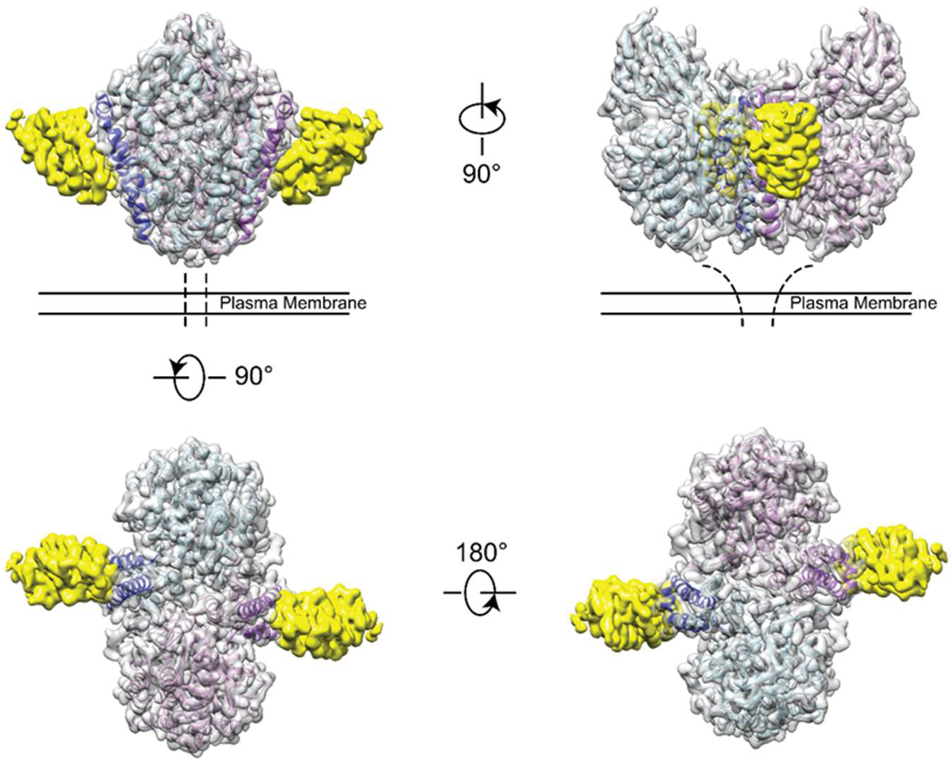 Figure 4.