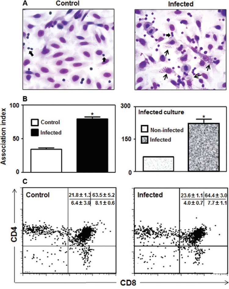 Fig. 2: