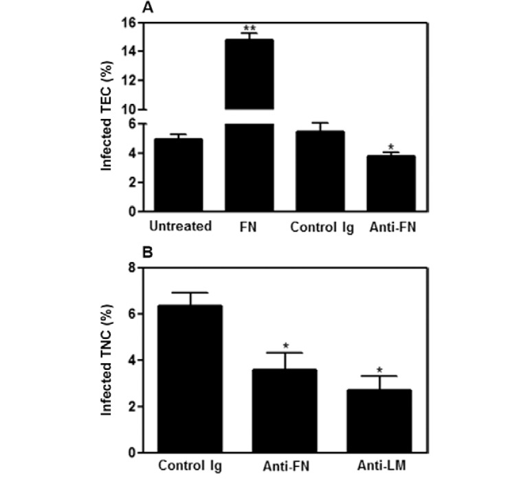 Fig. 3: