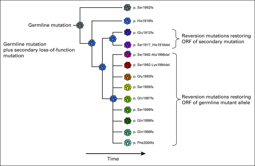 Fig 2.