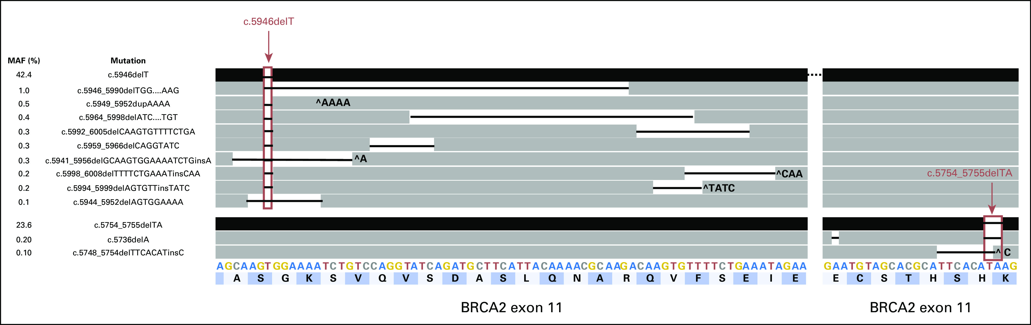 Fig 1.