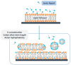 Figure 21