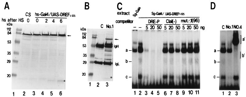 FIG. 1