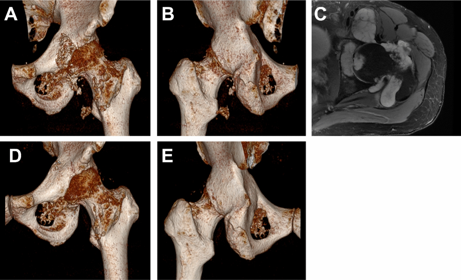 Fig. 5