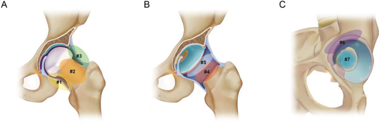 Fig. 3