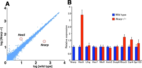 FIGURE 4: