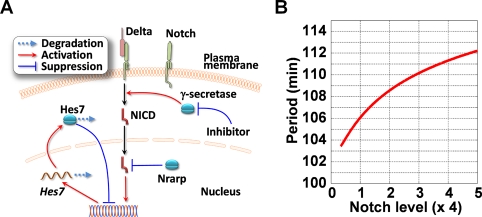 FIGURE 6: