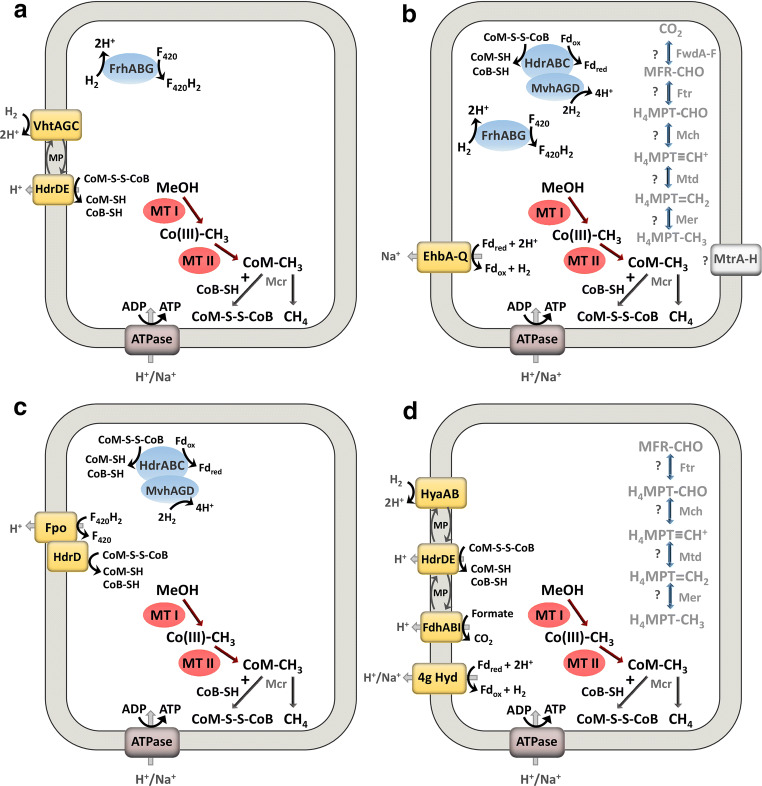 Fig. 4