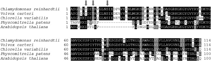 Figure 10.