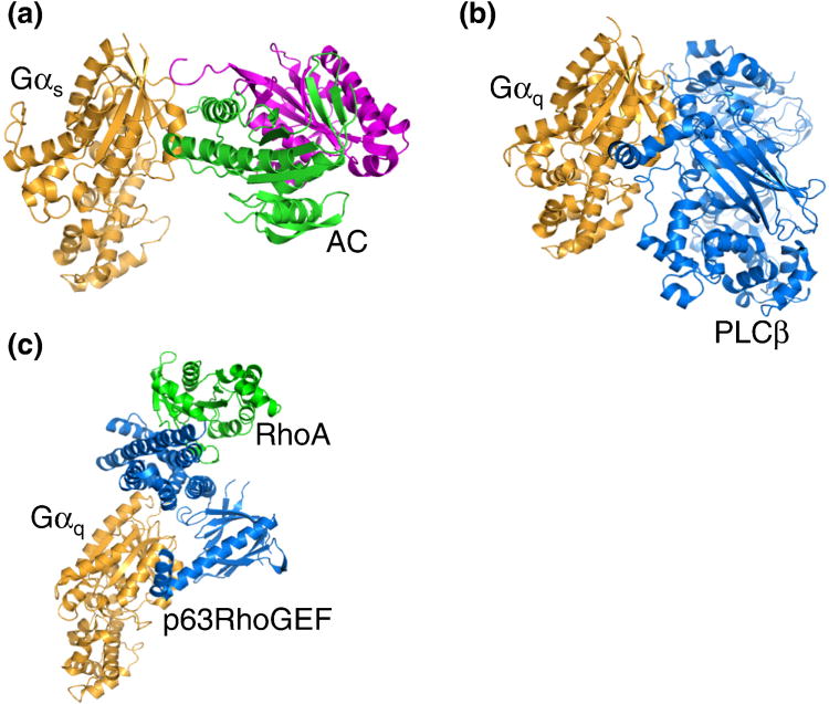 Figure 10