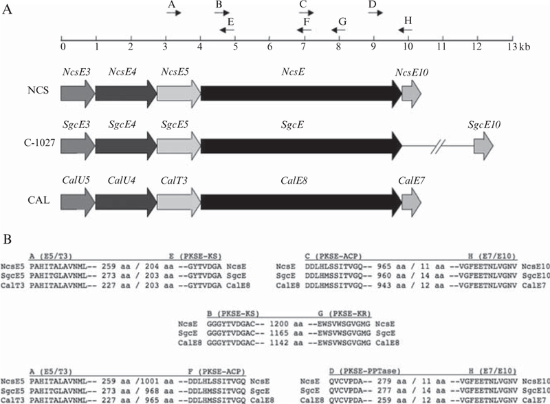 Figure 5.3