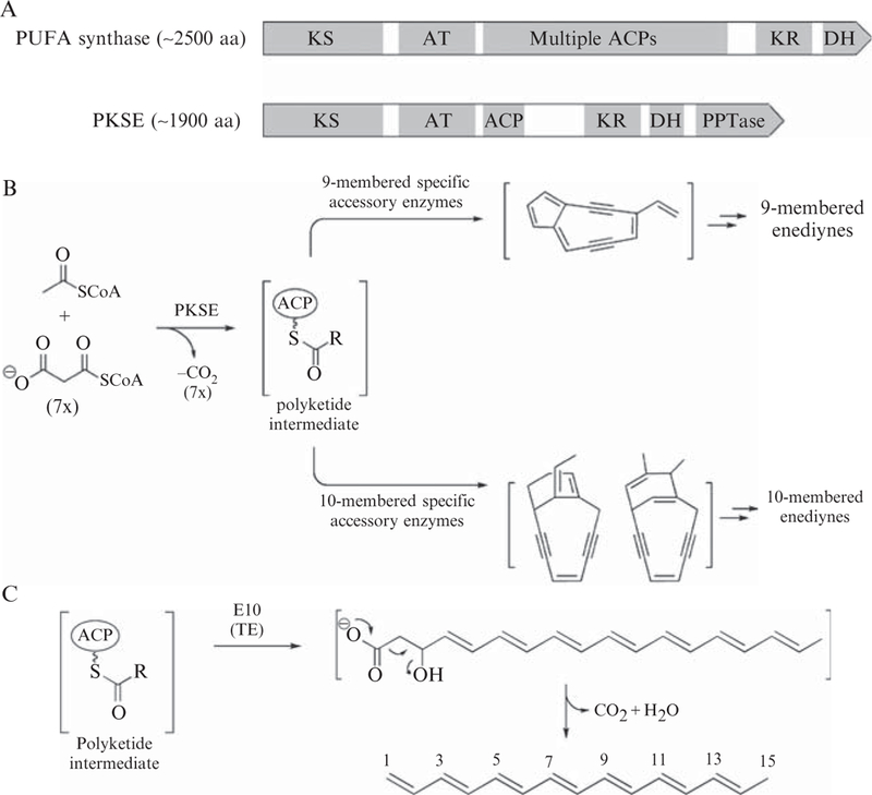 Figure 5.2