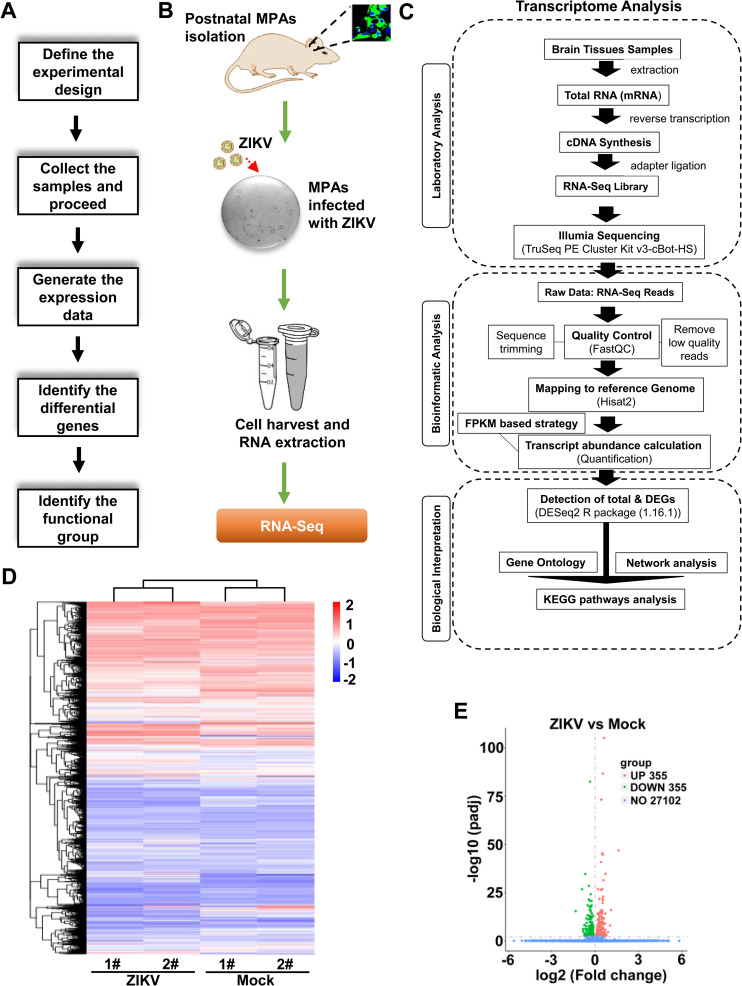 Fig 2