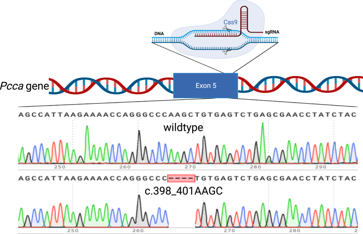 Figure 2