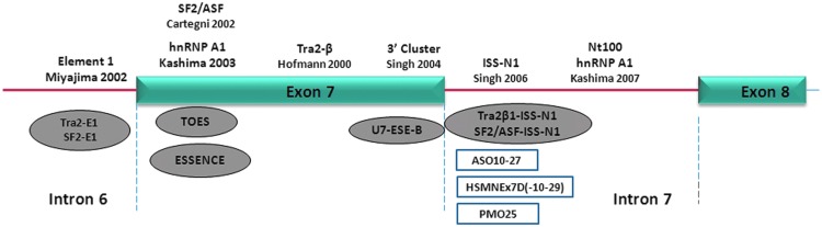 FIG. 2.