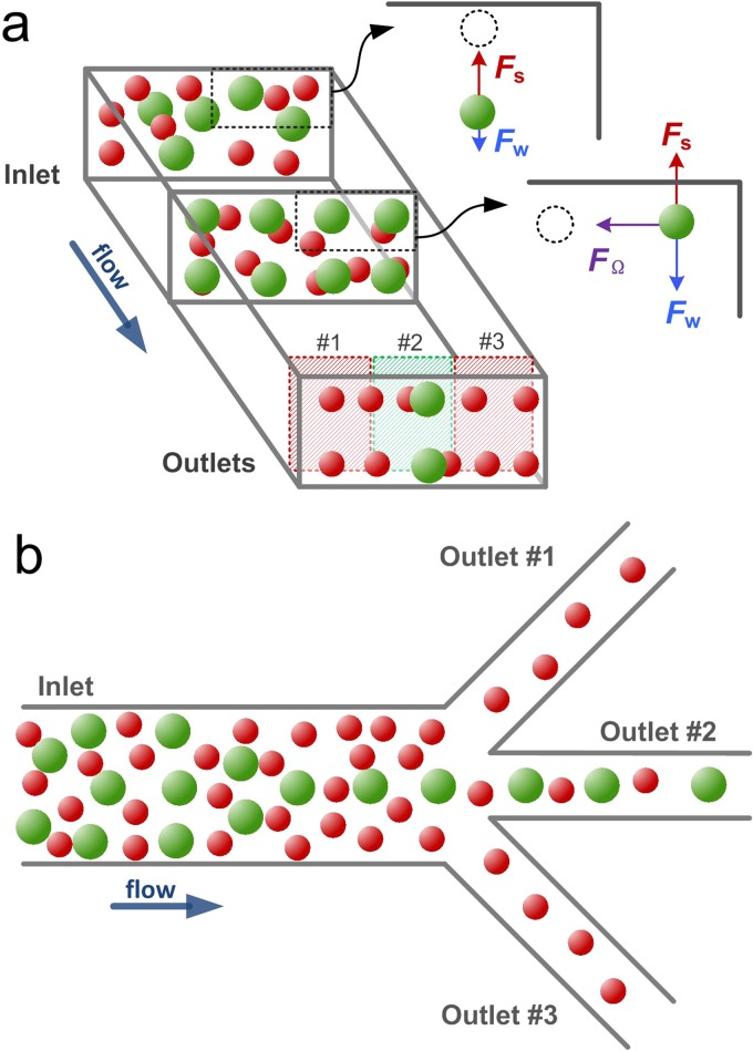 FIG. 1.