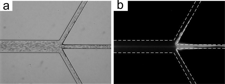 FIG. 7.