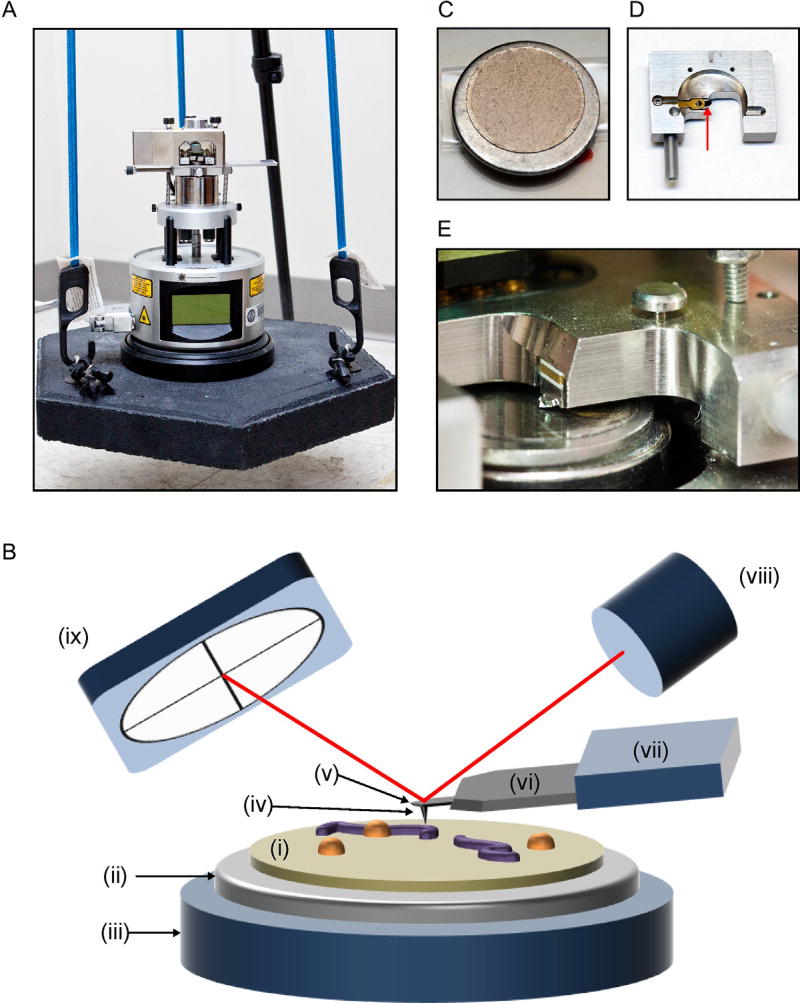 Fig. 3