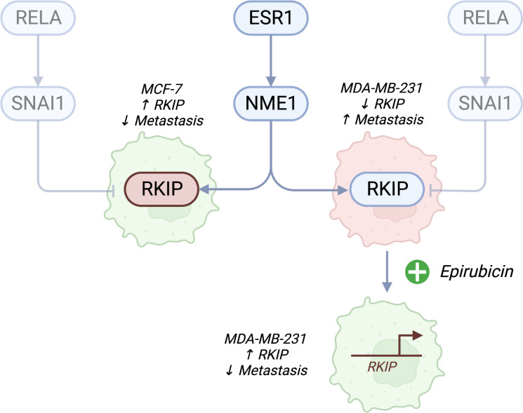 Figure 6