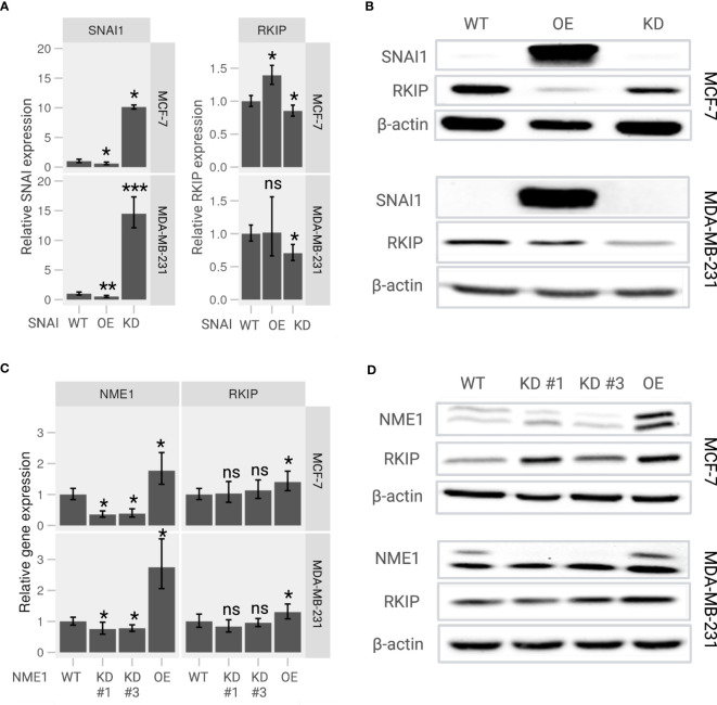 Figure 4