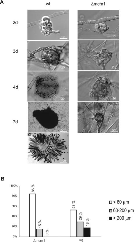 FIG. 6.