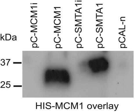 FIG. 9.