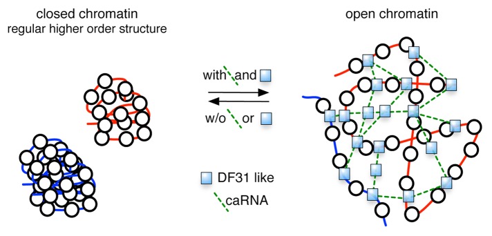 graphic file with name rna-10-175-g1.jpg