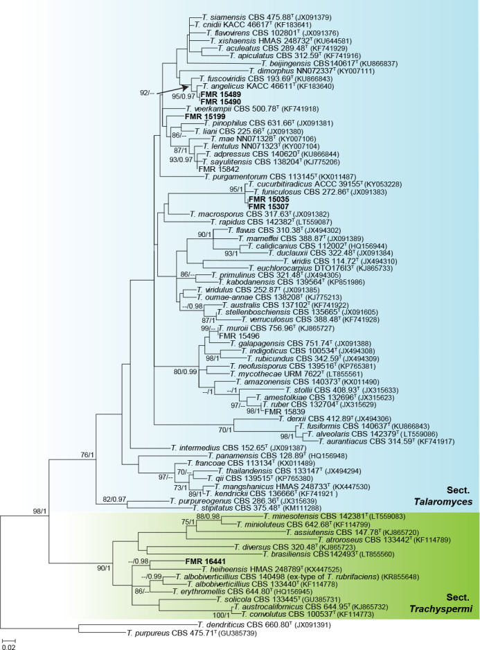 Fig. 6.