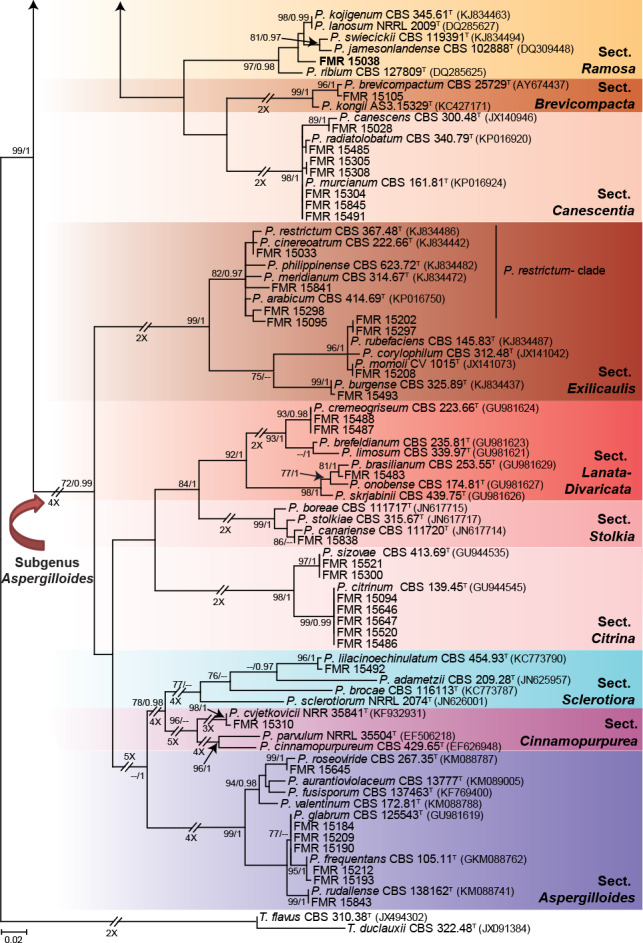 Fig. 1.