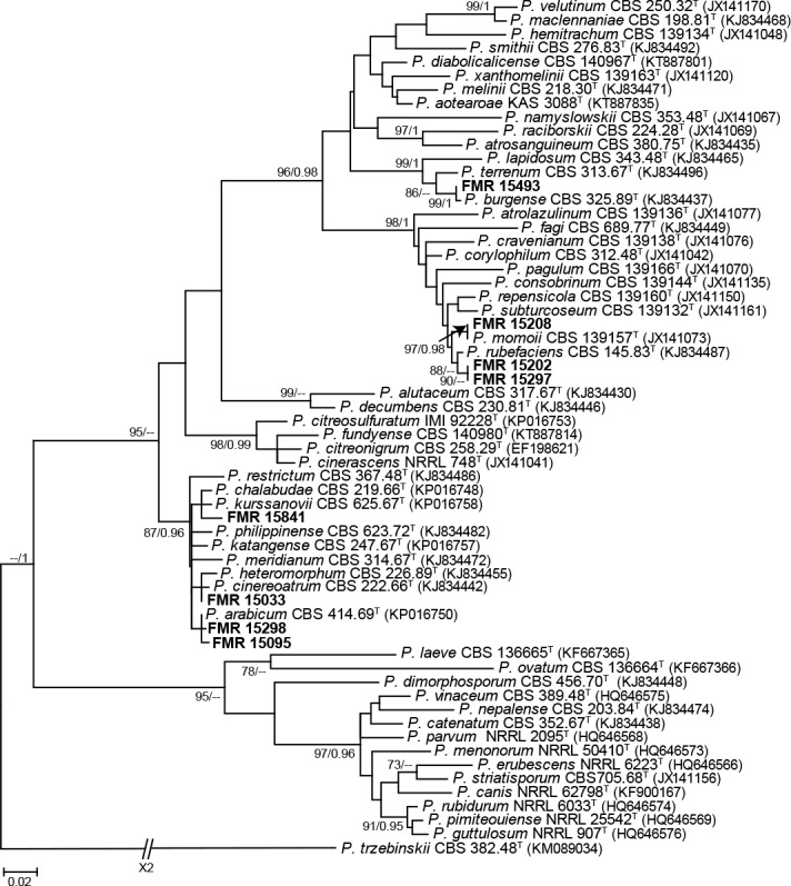 Fig. S4.