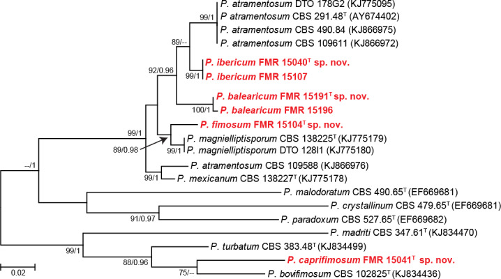 Fig. S3.