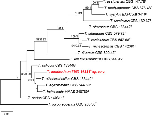 Fig. 8.