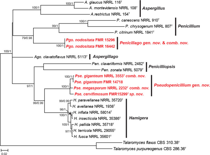 Fig. 10.