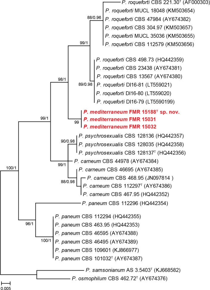 Fig. S1.