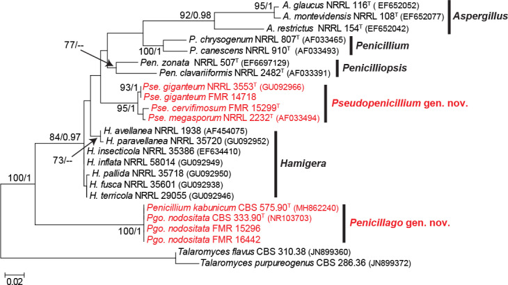 Fig. S6.