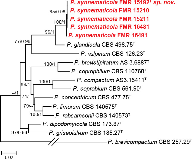 Fig. 3.