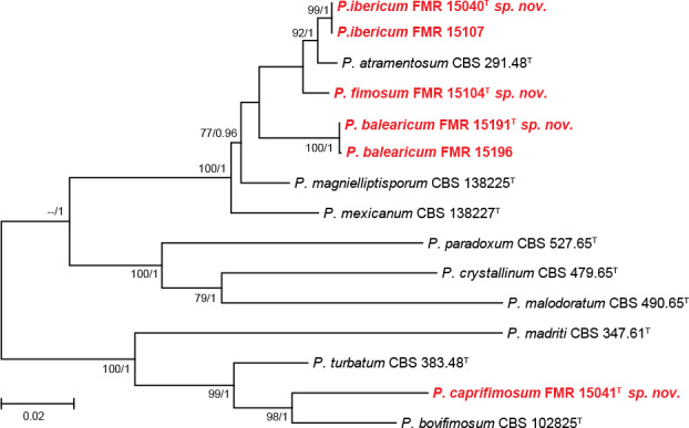 Fig. 4.