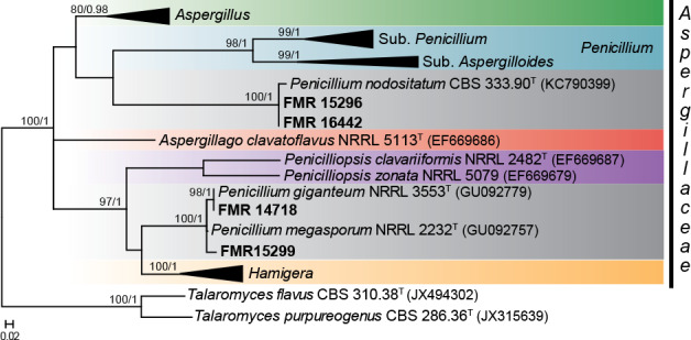 Fig. 9.