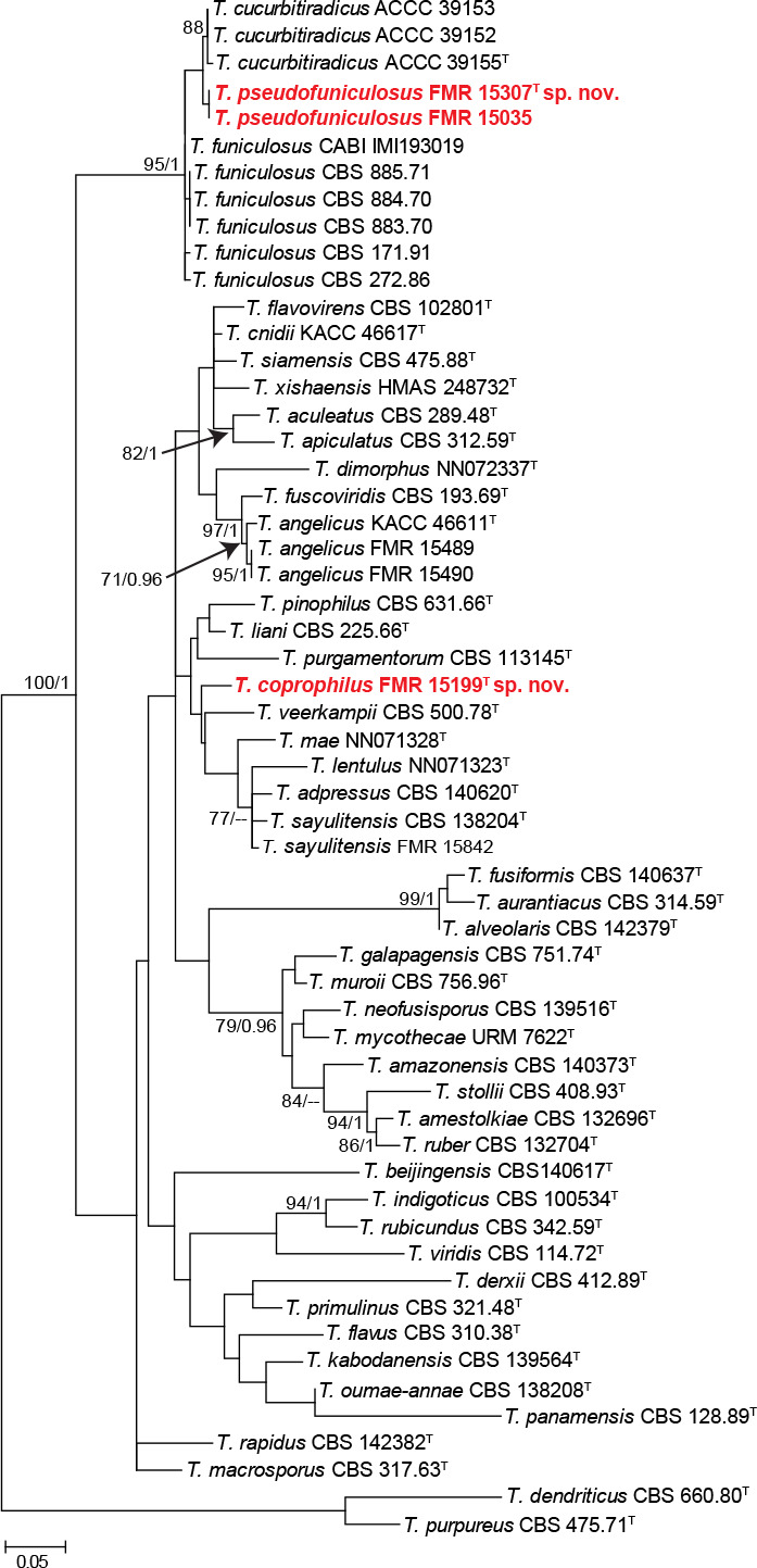 Fig. S5.