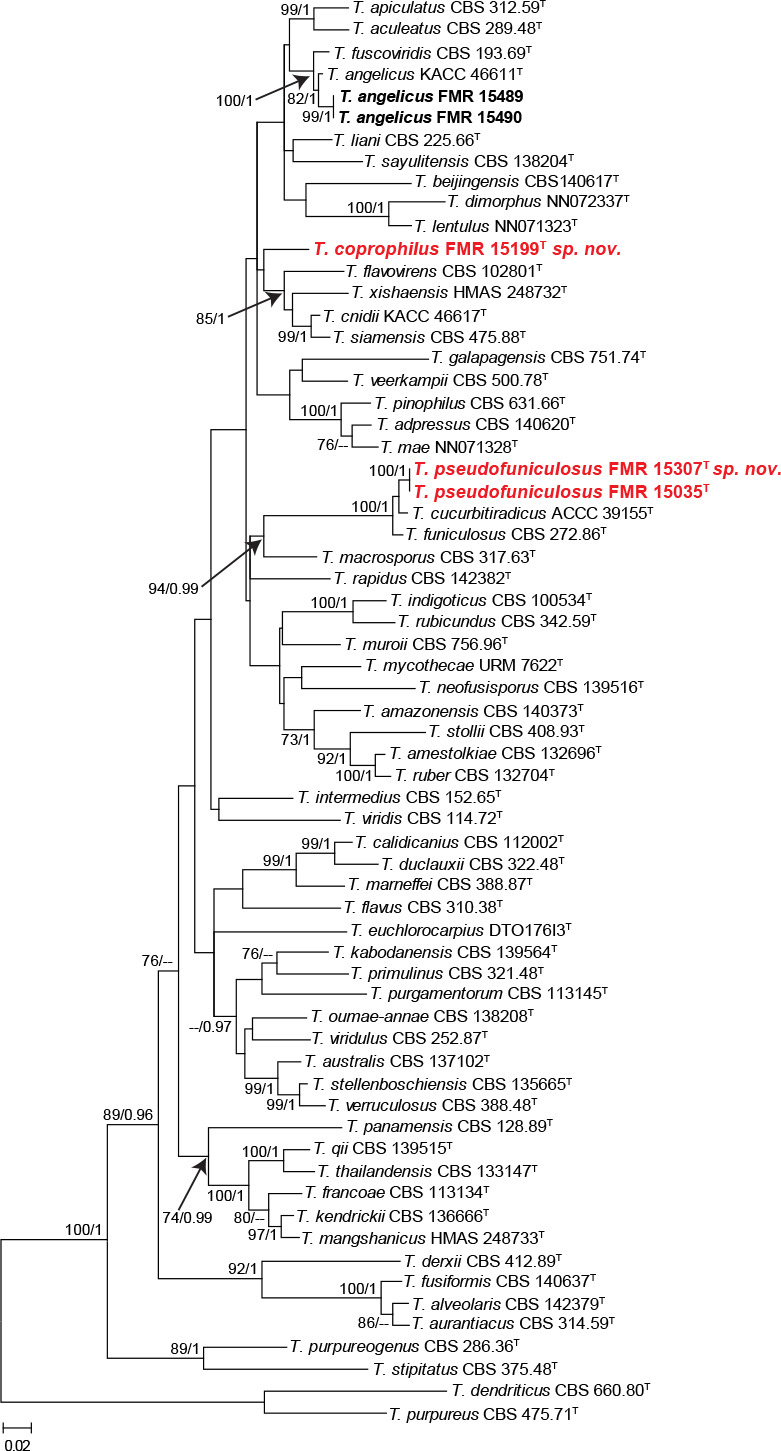 Fig. 7.