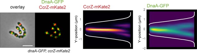 Extended Data Fig. 5